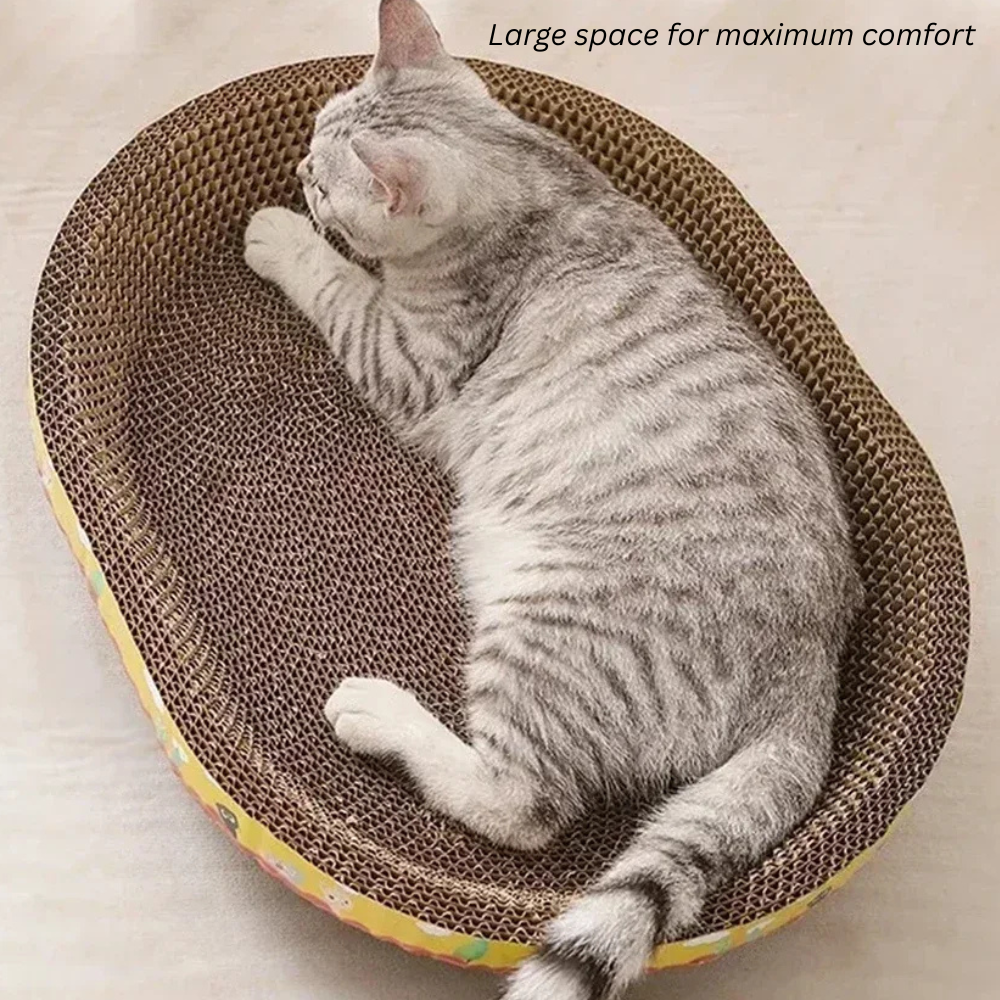 Purrfect Scratch Spot