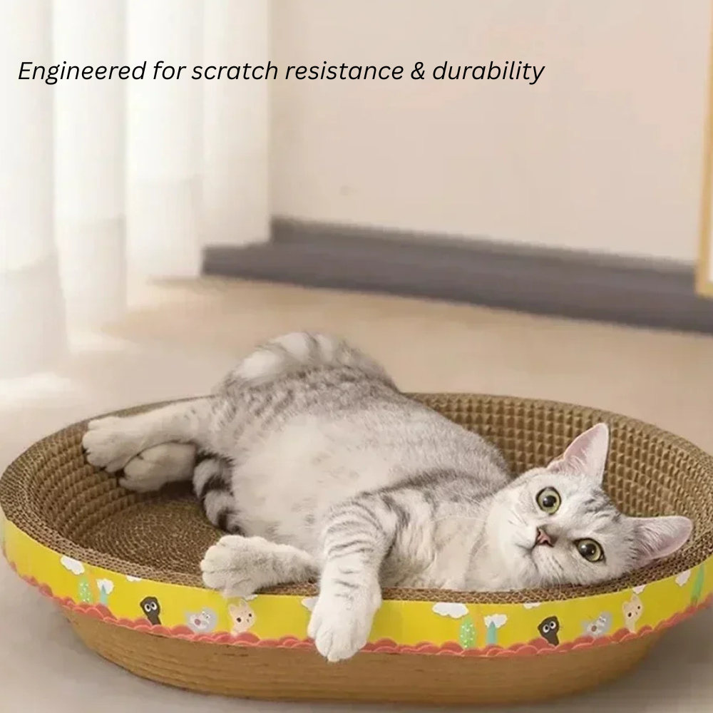 Purrfect Scratch Spot