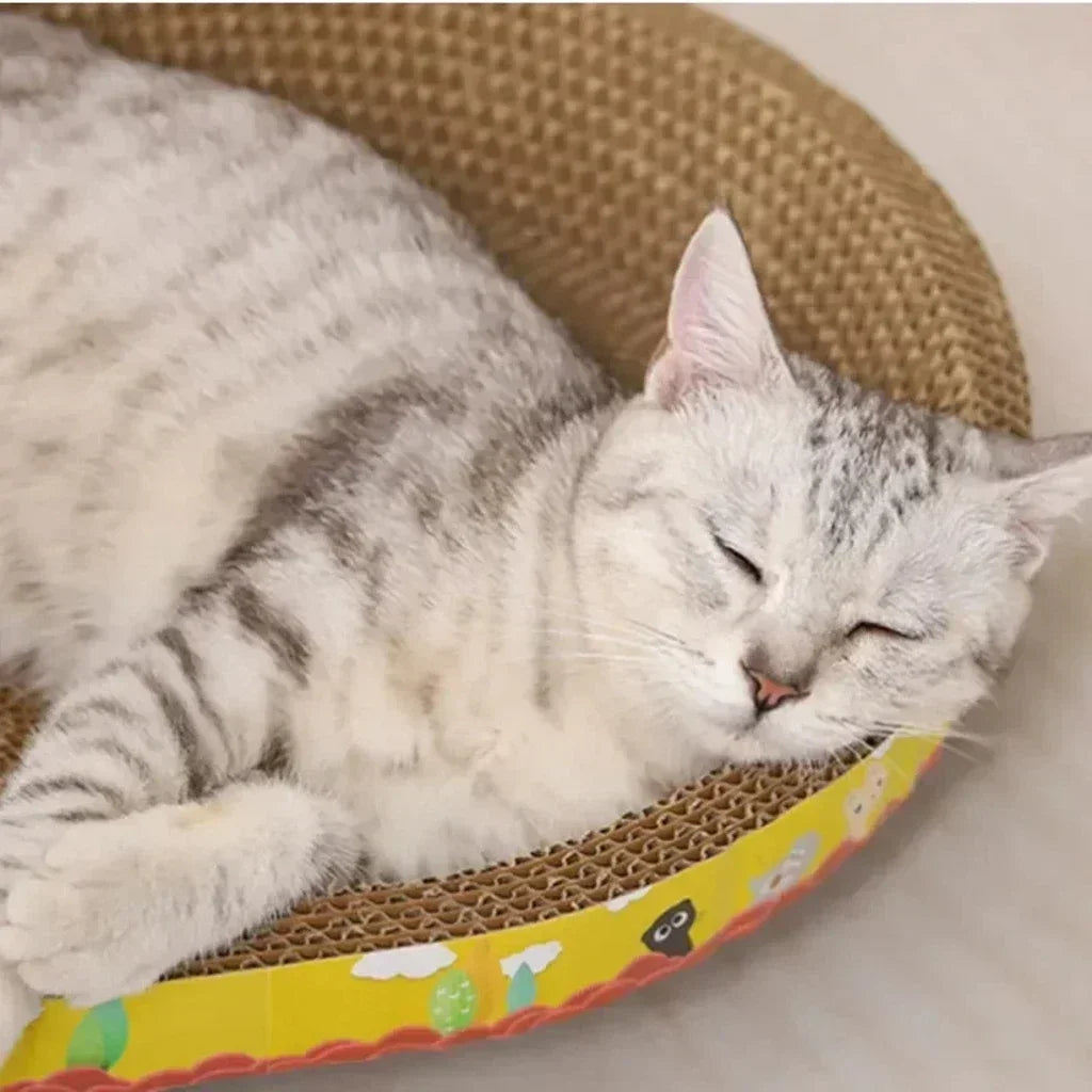 Purrfect Scratch Spot